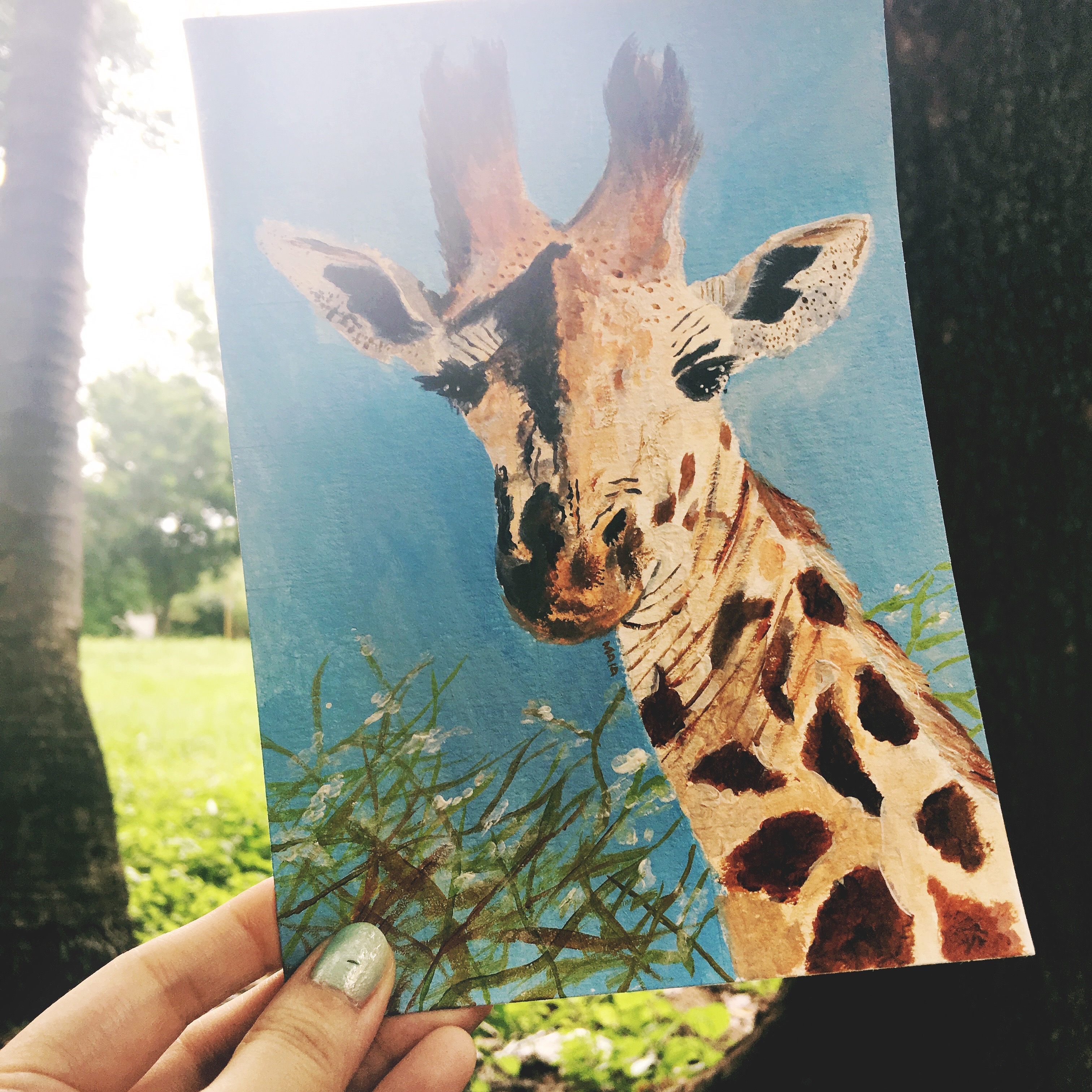 84EB419D-EC28-4B21-BDFF-CE59002E8C27