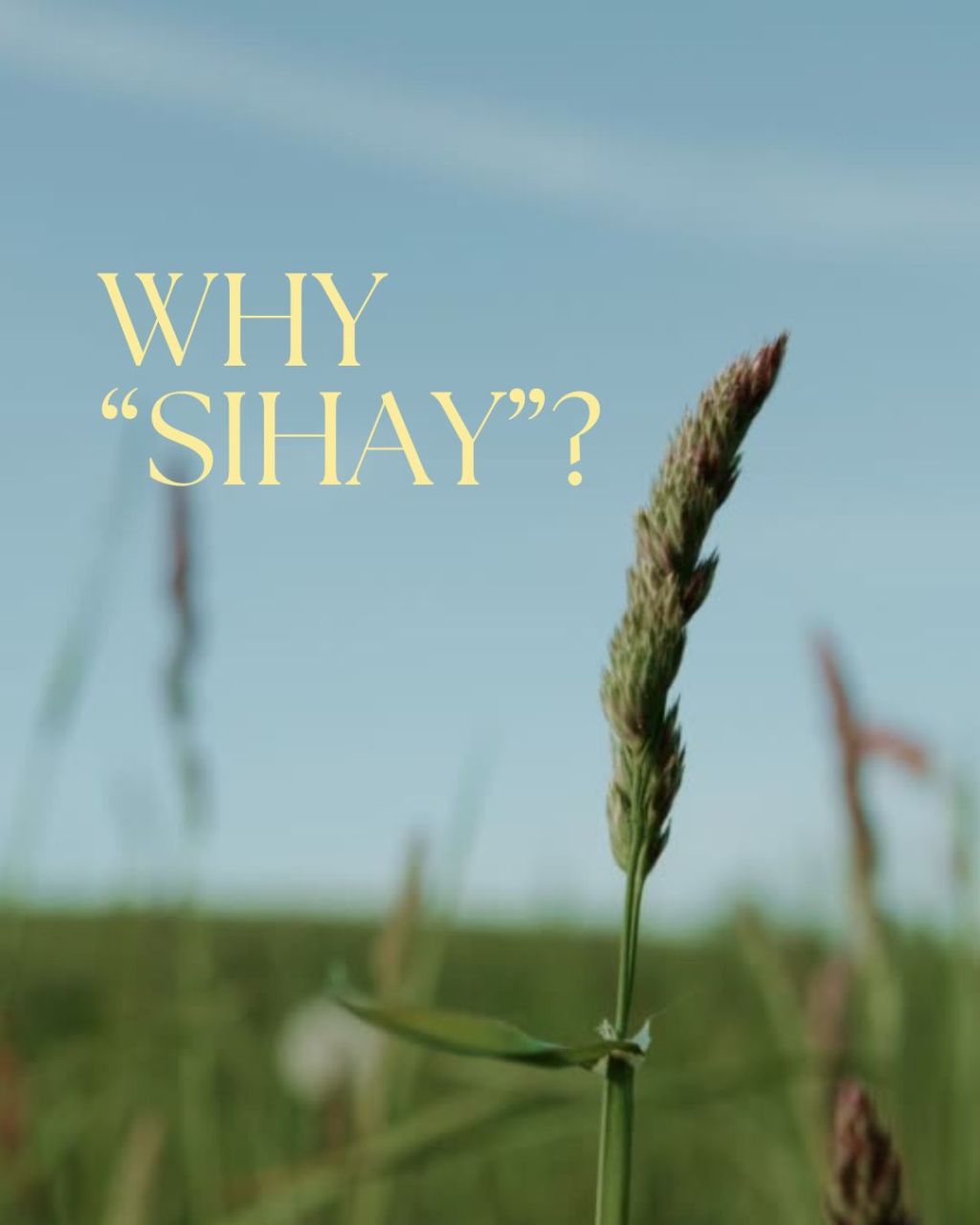 Why “Sihay”?